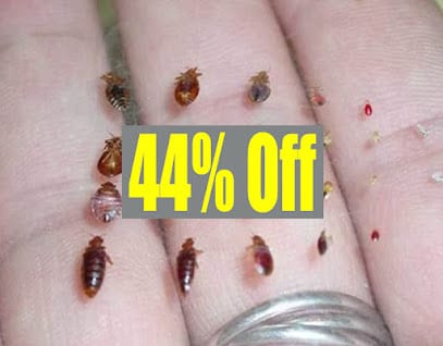Bed Bug Pest Control Lower Parel