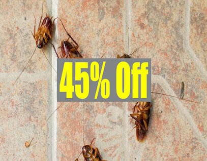 Bed Bug Pest Control Parel