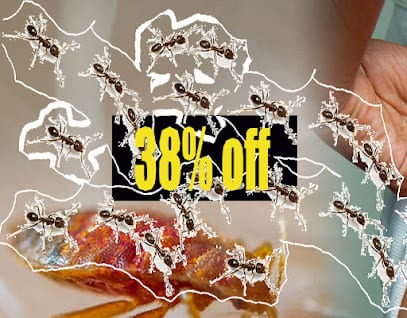 Cockroach Herbal Pest Control