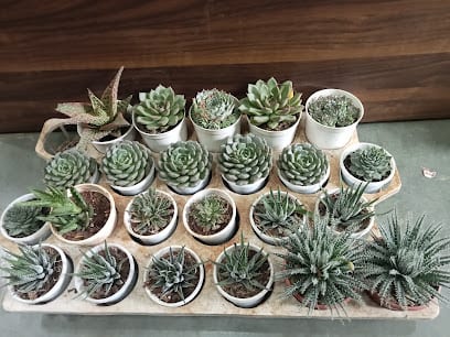 Madhuban Plants Garden Centre