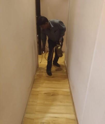 Pest Control New Idea - Pest control Service in mumbai