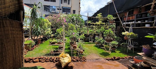 PlantScape Nursery & Garden Centre