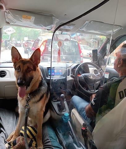 SDAASH PET CABS TOURS AND TRAVELS