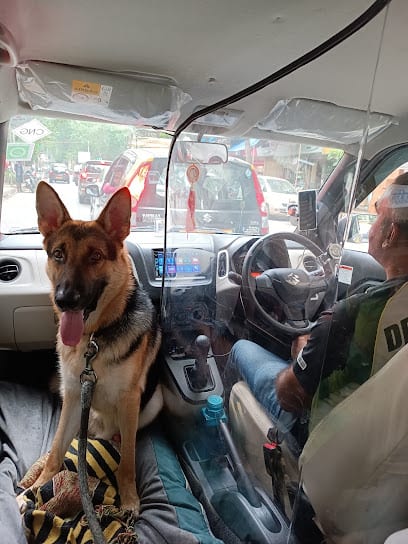 SDAASH PET CABS TOURS AND TRAVELS