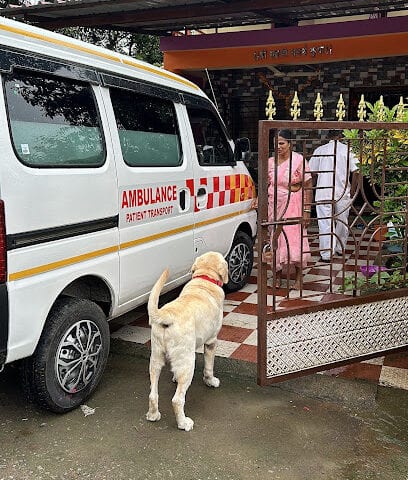 Trimurti 24/7 Pet & Animal Ambulance Service