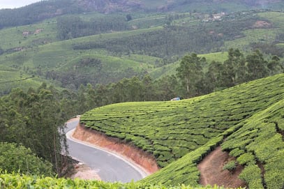 Vishal Tours And Travels
