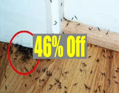 Cockroach Pest Control Lower Parel