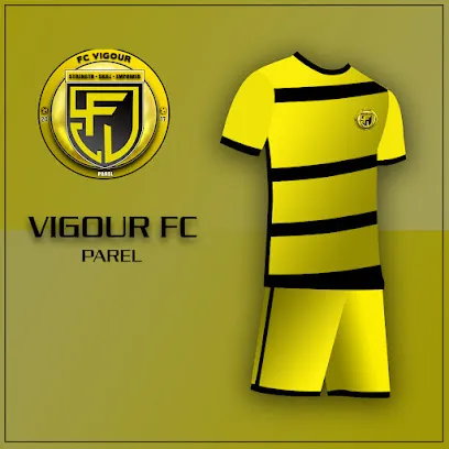 FC VIGOUR