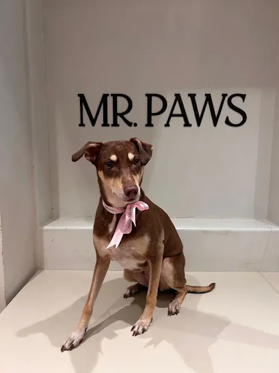 MR.PAWS