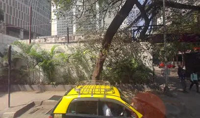 Netfix Networks OPC Pvt Ltd