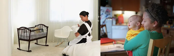 Perfect Domestic Services