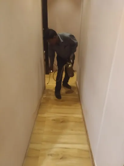 Pest Control New Idea - Pest control Service in mumbai