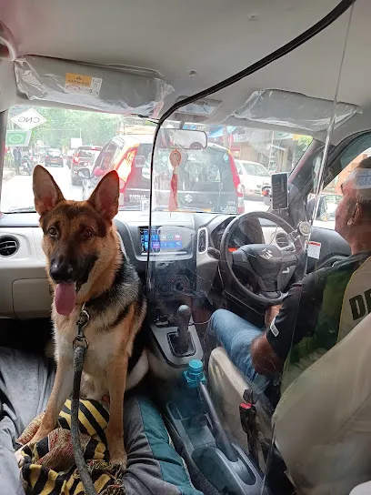 SDAASH PET CABS TOURS AND TRAVELS