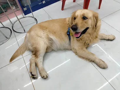 Uptown Vets Multispeciality Pet Clinic